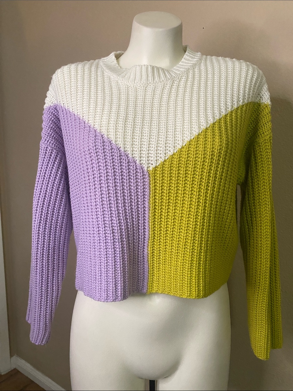 Sincerely Jules Colorblock Crewneck Knit crop Sweater S